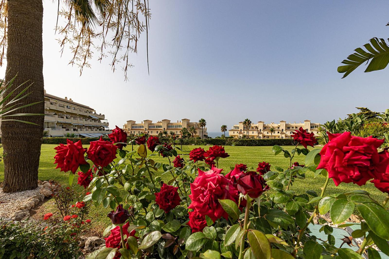 La Cala Gorgeous 2 Bedroom Apartment With Stunning Gardens, Pools And Sea Views El Faro Zewnętrze zdjęcie